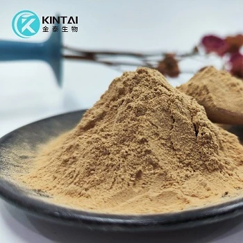 Chaga-uutejauhe