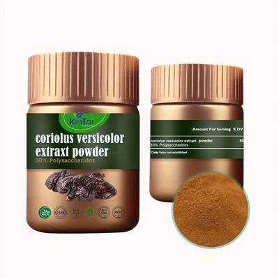 Coriolus Versicolor -kapselit