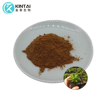 Kanna-uutejauhe
